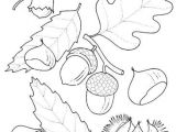 Dessin Feuille D Automne Coloriage Dibujos De Flores Plantas Y Arboles Ezpinita lbumes Web De