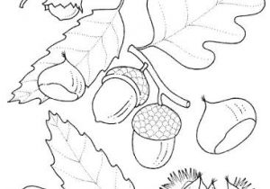 Dessin Feuille D Automne Coloriage Dibujos De Flores Plantas Y Arboles Ezpinita lbumes Web De