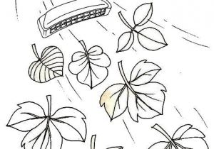 Dessin Feuille D Automne Coloriage Podzim Hraje Na Harmoniku Podzim Pinterest