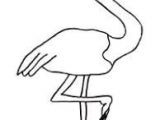 Dessin Flamant Rose Coloriage 14 Best Fon Images On Pinterest
