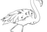 Dessin Flamant Rose Coloriage Carte Postale Flamant Rose Petits Papiers Pinterest