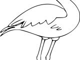 Dessin Flamant Rose Coloriage Coloriage Deux Baleines   Imprimer