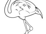 Dessin Flamant Rose Coloriage Dessin origami Flamant Rose Coloriage Flamant Rose   Imprimer