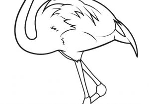 Dessin Flamant Rose Coloriage Dessin origami Flamant Rose Coloriage Flamant Rose   Imprimer