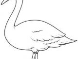 Dessin Flamant Rose Coloriage Mother Goose Birds Clipart De Scrap Et Coloriage