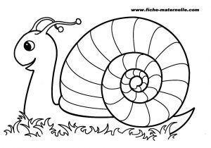 épi De Blé Coloriage Coloriage Escargot Maternelle