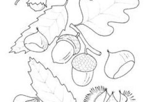 Feuille De Chene Coloriage Les 45 Meilleures Images De Coloriage Automne