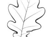 Feuille De Chene Coloriage Les 50 Meilleures Images De Feuilles   Colorier