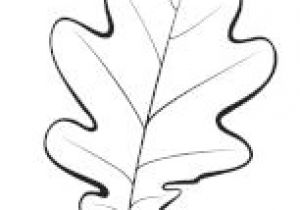 Feuille De Chene Coloriage Les 50 Meilleures Images De Feuilles   Colorier