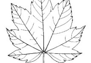 Feuille De Chene Coloriage Résultat De Recherche D Images Pour "dessin Feuille De Vigne