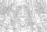 Feutre Coloriage Adulte 23 Best Zen Images On Pinterest