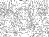 Feutre Coloriage Adulte 23 Best Zen Images On Pinterest