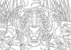 Feutre Coloriage Adulte 23 Best Zen Images On Pinterest