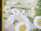 Fleurs 100 Coloriages Anti Stress Livre Jardins Mes Coloriages Hachette