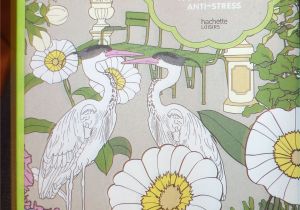 Fleurs 100 Coloriages Anti Stress Livre Jardins Mes Coloriages Hachette
