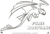 Furie Nocturne Coloriage Coloriage Dragons Le Furie Nocturne Dessin