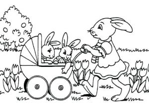 Halloween Coloriage Gratuit A Imprimer Hugo L Escargot Coloriage Escargot Perfect Lovely Hugo L Escargot Bricolage