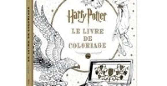 Harry Potter Coloriage Livre Harry Potter Le Livre De Coloriage Insight Editions