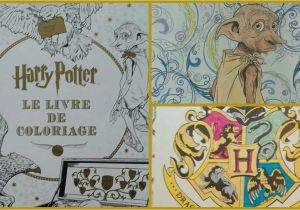 Harry Potter Coloriage Livre Harry Potter Le Livre De Coloriage [n°1]