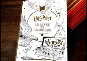Harry Potter Coloriage Livre Présentation Du Livre Harry Potter Le Livre De