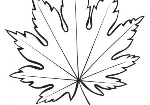 Hugo L Escargot Coloriage Automne 1000 Images About Coloriages Dessins D Automne On