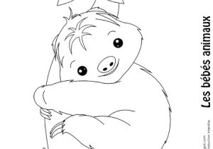 Hugo L Escargot Coloriage De Pokemon Coloriage Hugo L Escargot Petshop