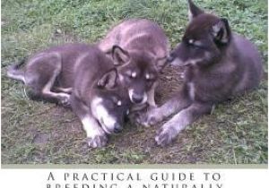 Hugo L Escargot Coloriage Pokémon Of Free Books at