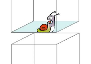 Illusion D Optique Coloriage Facile Dessin Illusion Optique