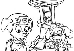 Image Coloriage Pat Patrouille â· 1001 Dessins Coloriage Pour Enfant   Imprimer