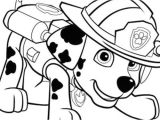Image Coloriage Pat Patrouille Coloriage Jul Coloriage Pat Patrouille Dalmatien Marcus