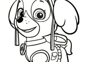 Image Coloriage Pat Patrouille Coloriage Pat Patrouille 30 Dessins   Imprimer Gratuitem