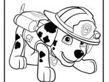 Image Coloriage Pat Patrouille Coloriage Pat Patrouille Dalmatien Marcus Marshall En Mode