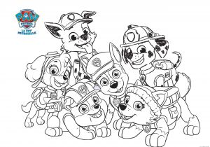 Image Coloriage Pat Patrouille Dessin A Imprimer Gfx09 Napanonprofits