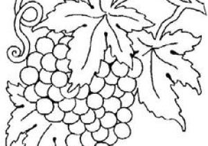 Image Coloriage Raisin Beccy S Place Bunch Of Grapes How to Draw Plants