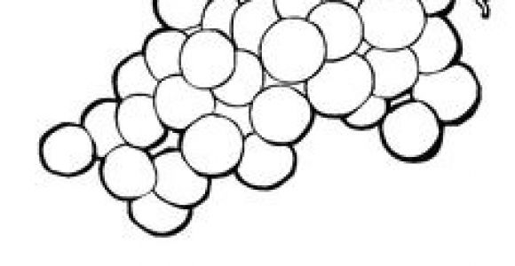Image Coloriage Raisin Beccy S Place Bunch Of Grapes How to Draw Plants