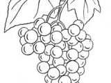 Image Coloriage Raisin Coloriage Dessins Nature 62 Idée Pour Cour Ead
