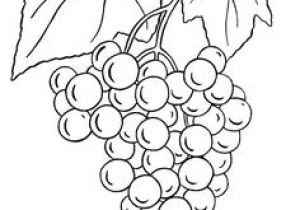 Image Coloriage Raisin Coloriage Dessins Nature 62 Idée Pour Cour Ead