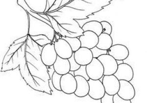 Image Coloriage Raisin Grape 15 Coloring Page Supercoloringpages