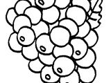 Image Coloriage Raisin Nunzio Rubino Rubinonunzio On Pinterest