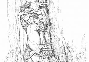 Imprimer Des Coloriages De Chevaux Coloriage D Animaux De La Ferme