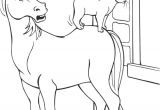 Imprimer Des Coloriages De Chevaux Coloriage De Cheval à Imprimer