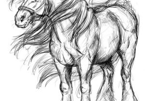 Imprimer Des Coloriages De Chevaux Coloriages à Imprimer Cheval Numéro