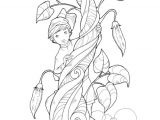 Jack Et Le Haricot Magique Coloriage 65 Best Jack& Albums Et Sciences Images On Pinterest
