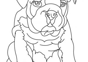 Jeux De Coloriage Animaux Gratuit 50 Best Dessin Coloriage Images On Pinterest