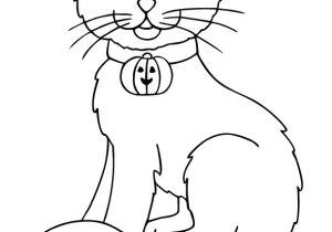 Jeux De Coloriage De Chat Gratuit Jeux De Coloriage Animaux Gratuit