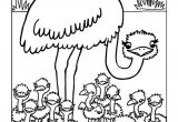 Jeux De Coloriage Des Animaux 77 Best Coloriages De Bébés Animaux Images On Pinterest