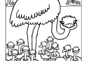 Jeux De Coloriage Des Animaux 77 Best Coloriages De Bébés Animaux Images On Pinterest