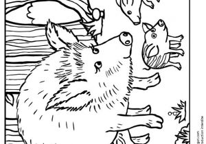 Jeux De Coloriage Des Animaux 77 Best Coloriages De Bébés Animaux Images On Pinterest
