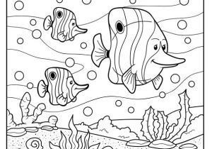 Jeux De Coloriage Des Animaux 77 Best Coloriages De Bébés Animaux Images On Pinterest