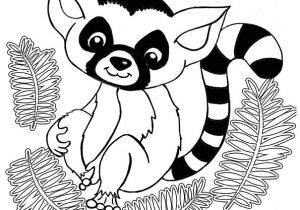 Jeux De Coloriage Des Animaux Coloriage D Un Mignon Bébé Lémurien